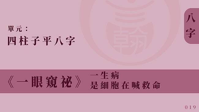 四柱子平八字｜單元 019 ◆ 一生病，是細胞在喊救命